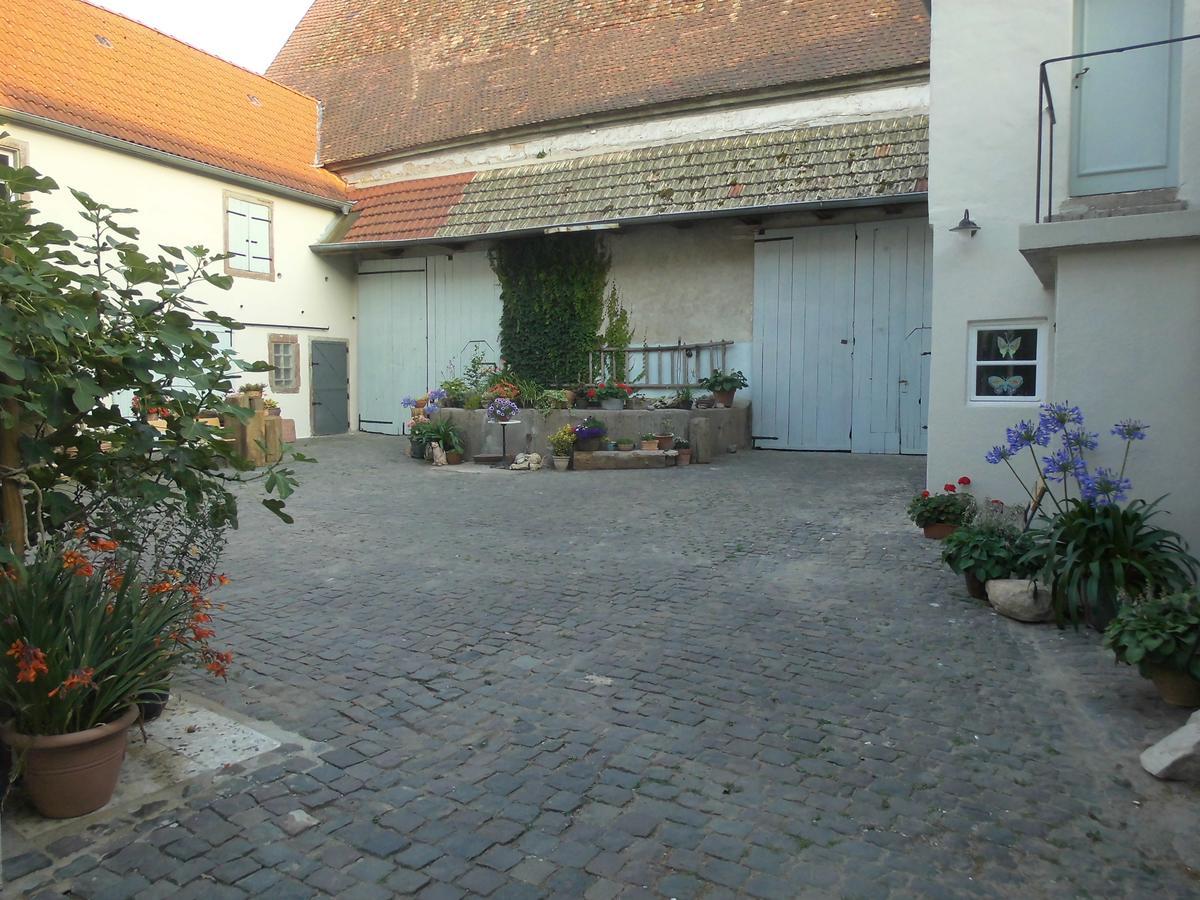 Gästezimmer Mittelgasse Apartment *