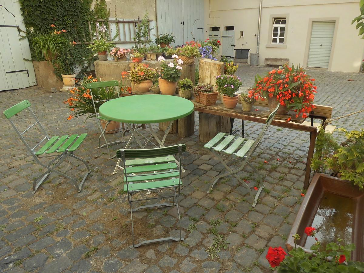 Apartment Gästezimmer Mittelgasse *